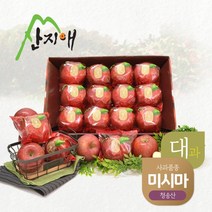 [KT알파쇼핑]산지애 씻어나온 꿀사과 3kg 1box (대과) / 청송산 미시마 당도선별, 1개