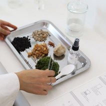 슬로우파마씨 이끼 테라리움 DIY KIT (M), 이끼 테라리움 DIY KIT (M) figure : 팬