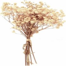 부케돔 미니 건조 아기 숨결 아이보리 흰색 꽃다발 헤어 웨딩 테이블 홈 크리스마스 가을, 8.Ivory white - 50g