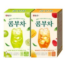 담터 콤부차 샤인머스캣 10T +망고리치 10T (20T)
