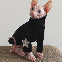 털이없는 고양이 옷 별 Bottoming 셔츠 Sphinx Devon Rex cotton Oufits 애완 동물 의상 가을 겨울베이스 Sphynx cat clothes, [01] XS, 01 XS