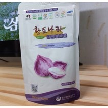 황토나라양파즙 물없이 갈아만든 100% 자색양파즙 100ml 1개, 건강즙
