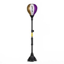 스탠딩 스피드볼 복싱 연습 스탠드 체육관 복싱바, A 타입(옵션 상세 참조)