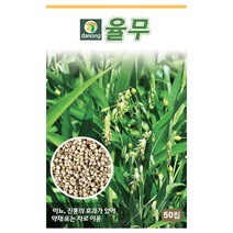 율무씨앗 50립 율무씨 곡류 씨앗 종자 다농 식물나라스토어, 율무씨 50립 율무씨앗 채소종자