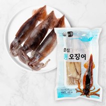 산지직송 자연산 손질통오징어 특대(320g) x 3팩 6마리, 단품없음