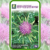 밀크시슬씨앗 흰무늬엉겅퀴 종자 2g 수비계 밀크씨슬 약초 씨, 1개