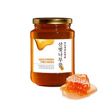 국산꿀 강원도 천연벌꿀 산벚나무꿀 600g, 단품