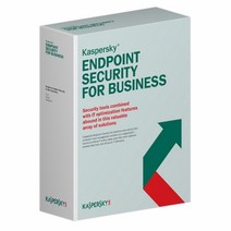 VGZ821642KAVforEndpointSecurityforWorkstation(라이선스_1년_Kaspersky), 단일옵션