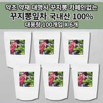 꾸지뽕잎 추출물 구지뽕 꾸지뽕 뿌리 열매 잎 뽕잎 줄기 꾸지뽕잎차 약초 약재 암 나무 껍질 효능 국산 국내산 침출차 대용량 건강 좋은 카페인없는 차 티 티백 100개입, 6개