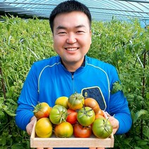 (람이네)농부가 직접운영 대저 토마토 찰토마토 대과 2.5kg 주스용 쥬스용토마토 산지직송, 1box, 대저 찰토마토2.5kg