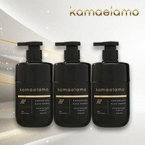[kamaelamo] 까매라모 탈모기능성 새치케어 샴푸 싱글 구성, 단일속성