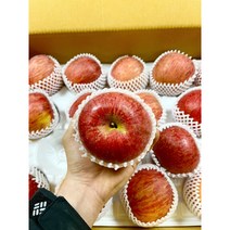 사과 유명한곳 경북 청송 홈골농원 꿀 맛 사과 부사 가정용 5kg, 정품+흠과5kg(대과-중과)