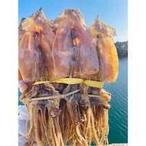 [꽃순이오징어] 동해안 건조 마른 오징어 1kg (20미) 당일배송