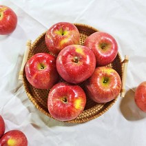 [수창이네:마켓] 갓 수확해서 더 맛있는 22년 햇 부사사과 가정용(흠과) 흠집사과 5kg 9kg, 수창이네 가정용 A급 흠집사과 9kg, 02.부사 9kg 간식(40-49과)