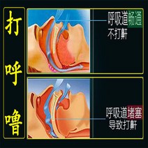 목이 편한 코골이 방지 꿀잠 숙면 베개 뚱뚱한 사람들이 특별한 단단한 쪽 수면 인공물 코골이는 손 베개를 누르지 않습니다, [03] 중간 푹신한 수면보조기 양쪽 높이 12cm 가