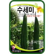 수세미 씨앗 10립 희귀식물 이색 종자 텃밭가꾸기 Loofah Sponge Gourd