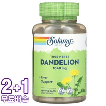 솔라레이 단델리온 민들레 520mg 베지 180캡슐 3통, 1개, 기본