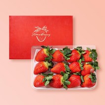 프루미츠 새벽 수확 담양군 에서 선별한 담양 죽향 딸기 400g (특품/12-15과), 1개