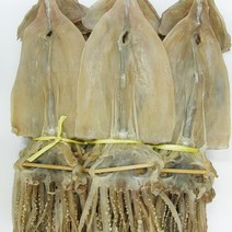 건어물천국 마른오징어 2.7kg(20미) 왕특대 건조오징어, 1개