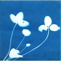 햇빛은 화가 (15인용)