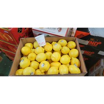 팬시 레몬 20과 40과 120g, 3. 팬시레몬 80과, 1개