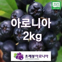 유기농 자연초생재배 초례봉아로니아냉동생과 상급2kg / 농장 직배송, 1kg(1개), 2개