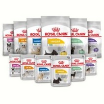 로얄캐닌 강아지 건강기능 85gx12개 습식사료모음, 85g, 로얄캐닌 독 라이트웨이트케어 85g x 12 습식, 12개