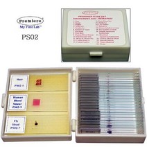 중등생 영구프레파라트 표본 슬라이드 실험도구 실험