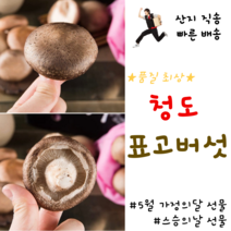 청도 표고버섯 1kg 상 특상 표고분말 슬라이스 산지직송 5월 가정의달 선물, 상1kg