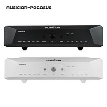 MUSICIAN PEGASUS 32Bit/1536kHz 24Bit R2R DAC 6BIT DSD Balanced Resistance DAC Support DSD1024 SPDIF, Black