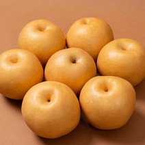 농부들의수확 [농부들의수확]나주 산지직송 나주배 5kg 가정용특품 10-12과, 단품없음
