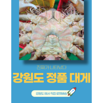 바바푸드 강원도 산지직송 바로배송 정품 대게, 활(생물), 4kg, 1개