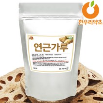 연근가루 연근분말 국산, 연근가루300g, 1개