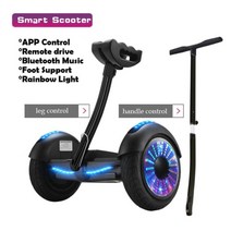 성인 전동휠 호버보드 스쿠터 나노휠 세그웨이 전동휠 왕발통, 블랙 LWA