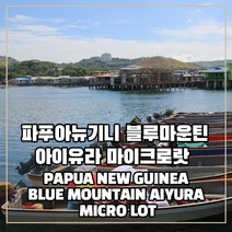 (커피생두) 308 파푸아뉴기니 블루마운틴 아이유라 마이크로랏 1kg