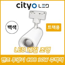 씨티라이팅/CITYO(씨티오)/LED램프/렌즈투광기/레일조명/COB/트랙용/30W형/집중형/확산형/백색/주광색/주백색/전구색/5700K/4000K/3000K, LED 렌즈 투광기 백색 주백색