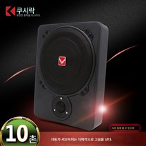 우퍼 블루투스 스피커 고음대출력 12v 차량용 오디오 튜닝 스피커 10인치 슬림형 자동차 서브우퍼, 8촌, 하나, 1개
