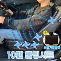 sbeey LAB 10팬 차량용 통풍시트 (12V 24V), 24V(화물차용)