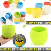 플라스틱화분 그린 베란다정원 대형플라스틱화분 블루베리화분 야외화분 방울토마토화분 분갈이화분 옥상텃밭