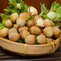 중국 길림성 개암 열매 생헤이즐넛, 5kg