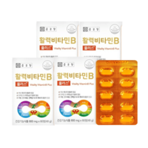 종근당건강 활력비타민B 800mg 240정 8개월분, 활력비타민B 4박스