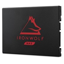 씨게이트 아이언울프 125 SSD 1TB 나스용 내장하드