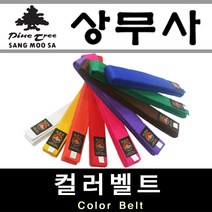 태권도 합기도 특공 무술 칼라 벨트 칼라띠 노랑띠 빨강띠 파란띠 하얀띠 국기원 유도, 파랑(blue) 160cm