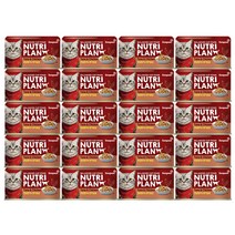 뉴트리플랜 고양이캔 160 g, 흰살참치 + 달가슴살 혼합맛, 160g, 20개