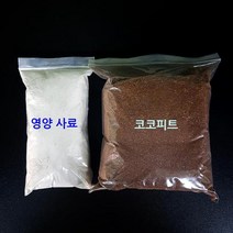 애완 달팽이 전용 영양 사료 - 달팽이키우기, 달팽이 영양사료