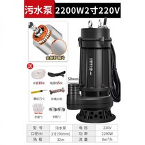 하수 펌프 정화조 농막 오수 지하 슬러지 워터 소형 절단, 오수 펌프 2200W2인치