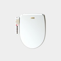 APPLE-868 애플비데 통변비데 애플비데필터10개증정 직수형 순간온수 무료설치 3년무상서비스, 고객님직접설치