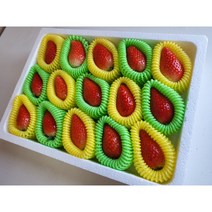 2022 논산 설향 딸기 킹스베리 산지직송 난좌포장 환불보장제, 설향 500g