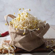 콩나물 1kg 산소콩나물 무농약 친환경 국산콩, 1box
