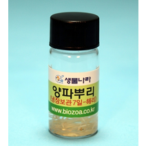 양파뿌리(해리) 10ml